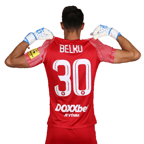 MŠK Žilina Sticker