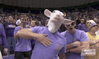 Lsu Tigers Sport GIF by NCAA March Madness