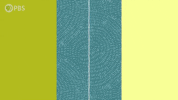 GIF by PBS Digital Studios