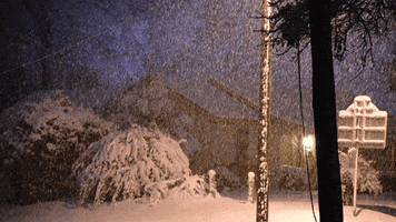 Snowing GIF