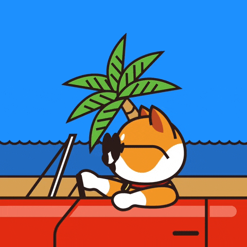 Fun Summer GIF by Baby Doge Coin