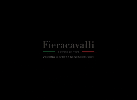 Fieracavalli Horsefriendly GIF by veronafiere