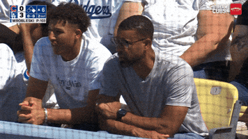 Mlb Chicago GIF