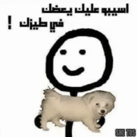 Dog Funny Quotes GIF