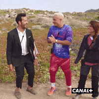Content Lol GIF by CANAL+