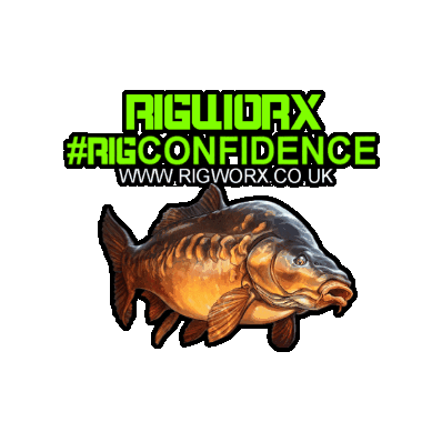 Rigworx Carp Tackle Sticker