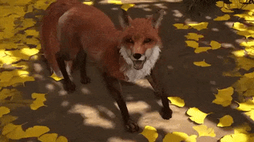 Happy Dance GIF by PlayStation
