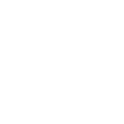 LUDEX Sticker