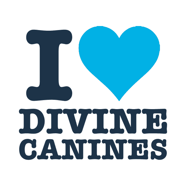 DivineCanines therapy dog b4b therapy dogs beer dog GIF