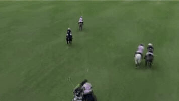Endurant Argentina GIF by ENDURANT TURF PAINT