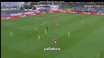 wesamtaha  GIF