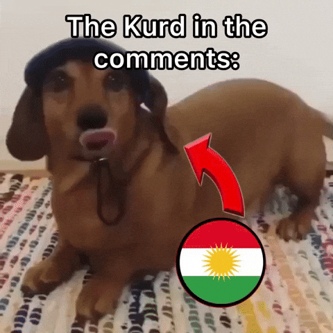 Arman Tsarukyan Kurdistan GIF