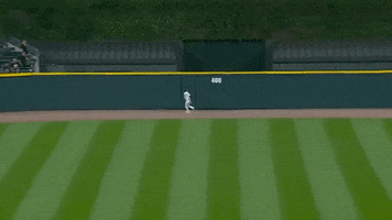 White Sox GIF