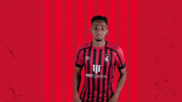 Celebrating Bring It GIF by AFC Bournemouth