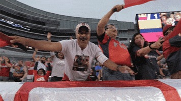 200.gif?cid=fc005b0883003f7d4b7a580bdde744abb8d8e4f5d42a9b45&rid=200.gif&ct=g