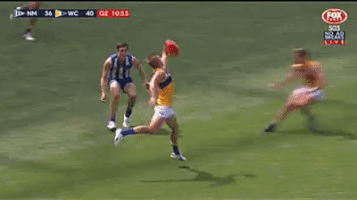 danielleach-d733 goal eagles afl west coast eagles GIF