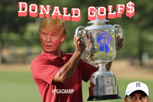 Donaldtrump GIF