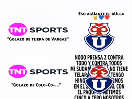 Colocolo Bulla GIF