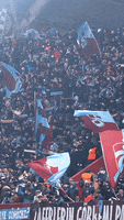 Mavi Bordo GIF by Trabzonspor Kulübü