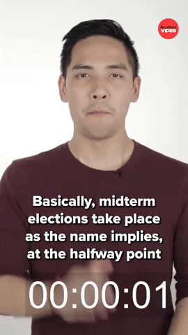 Midterm Election Politics GIF by BuzzFeed
