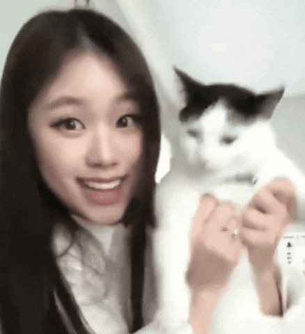Sassy Me And My Cat GIF
