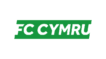 Welsh Football Web Sticker by FA Wales