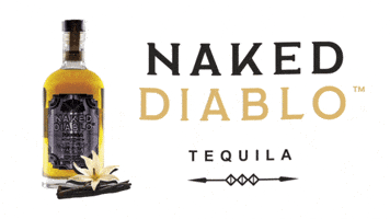 Naked Diablo GIF