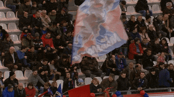 fans flag GIF by FCG Rugby