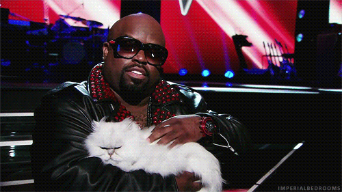 Cee Lo Green Cat GIF - Find & Share on GIPHY