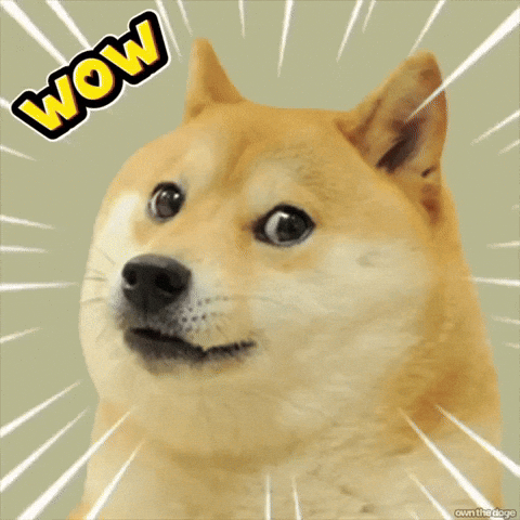 Doge Intensifies Wow GIF by Own The Doge