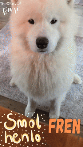 Ciao Hello GIF