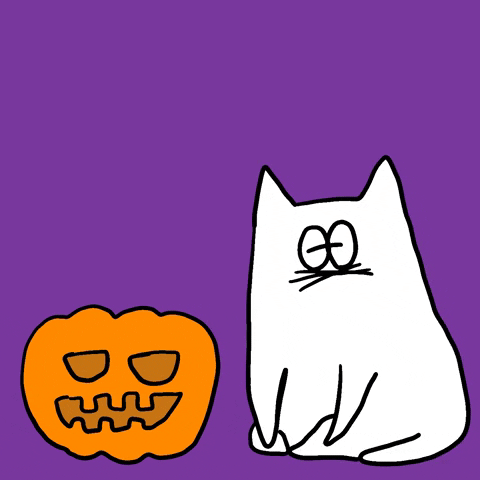 Halloween Cats GIF by Gunmaunofficial