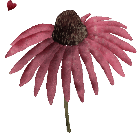 Heart Love Sticker