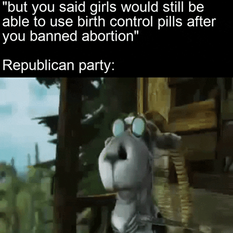 Reproductive Rights Feminist GIF