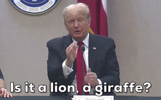 Donald Trump Cognitive Test GIF by GIPHY News