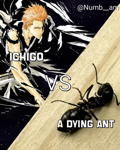 Peak Kurosaki Ichigo GIF