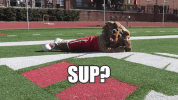 what's up sup GIF by Davidson College