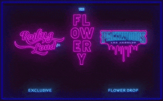 Rolling Loud Weed GIF by The Flowery