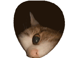 Animated Sticker