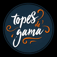 Tdg GIF by Topes de Gama