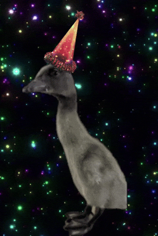 Party Duck GIF