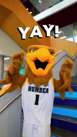 So Excited Humber Hawk GIF by Humber College