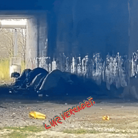 Austria What GIF by Linz verendet