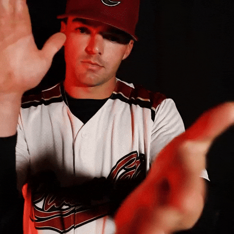 Baseball Clapping GIF by Sacramento River Cats