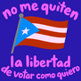 Voting Puerto Rico