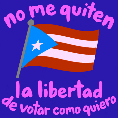 Voting Puerto Rico GIF by Creative Courage