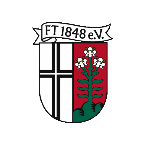FT1848fussball Sticker