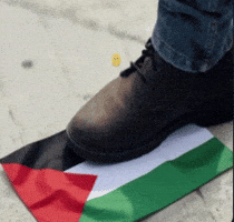 Shoe Palestine GIF