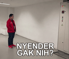 Persib Bandung Et GIF