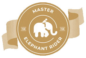 Masterelephantrider Sticker by ridersandelephants
